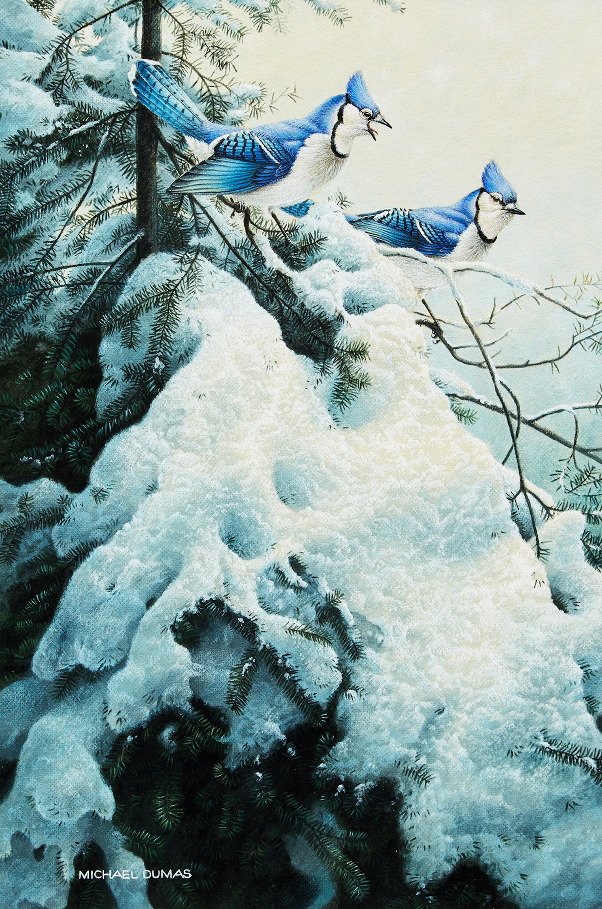 Michael Dumas, Blue Jays, acrylic on paper