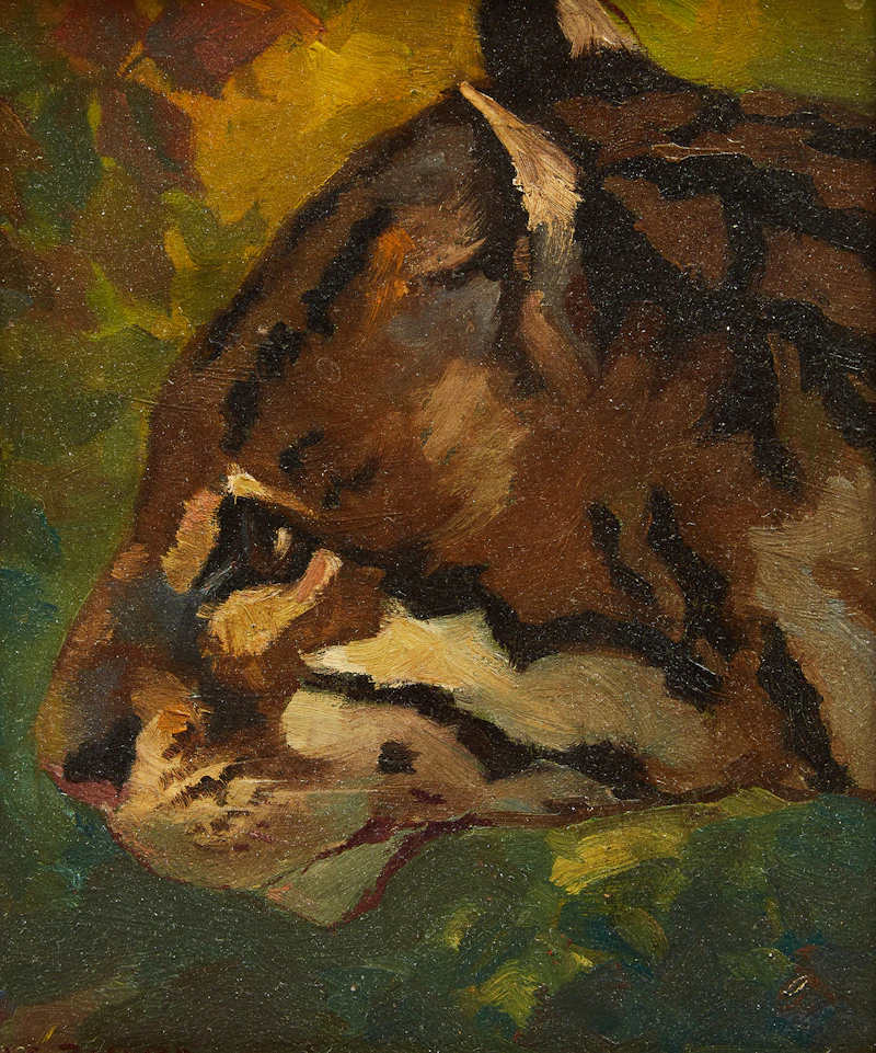 Canadian Ocelot by Herbert Sidney Palmer
