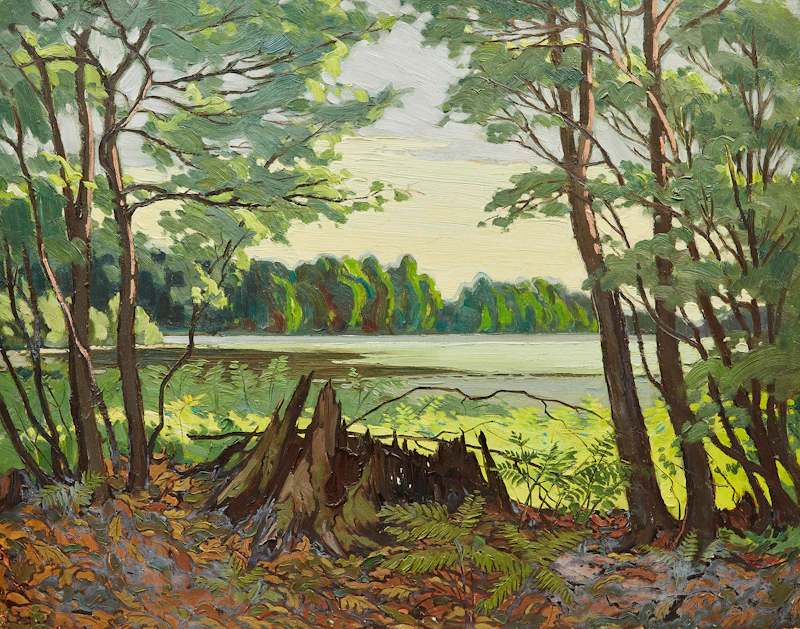 Portrait of a Pine Stump by Adolphus George Broomfield
