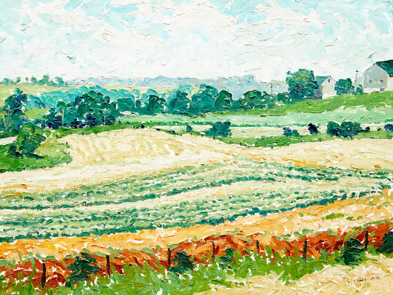 Hayfield, Bruce County by Bruce Steinhoff
