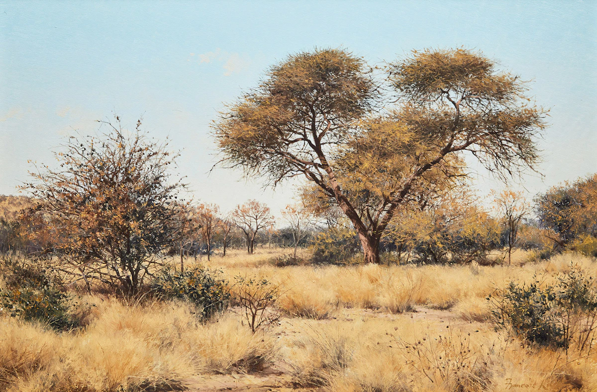 François Koch, South African Landscape, oil on canvas board