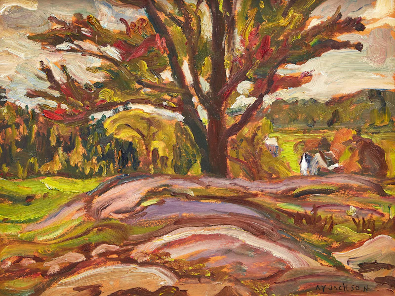Alexander Young Jackson, Sugar Maple, Brownsburg, QC, oil on board