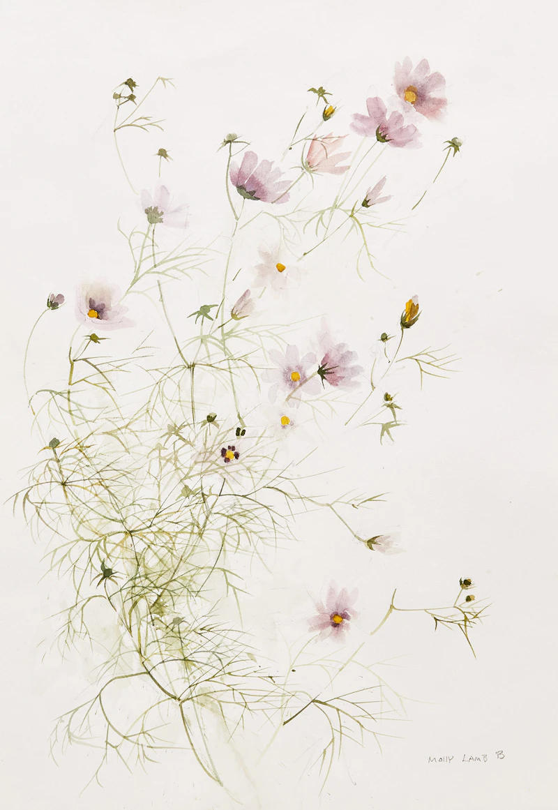 Cosmos by Molly Lamb Bobak