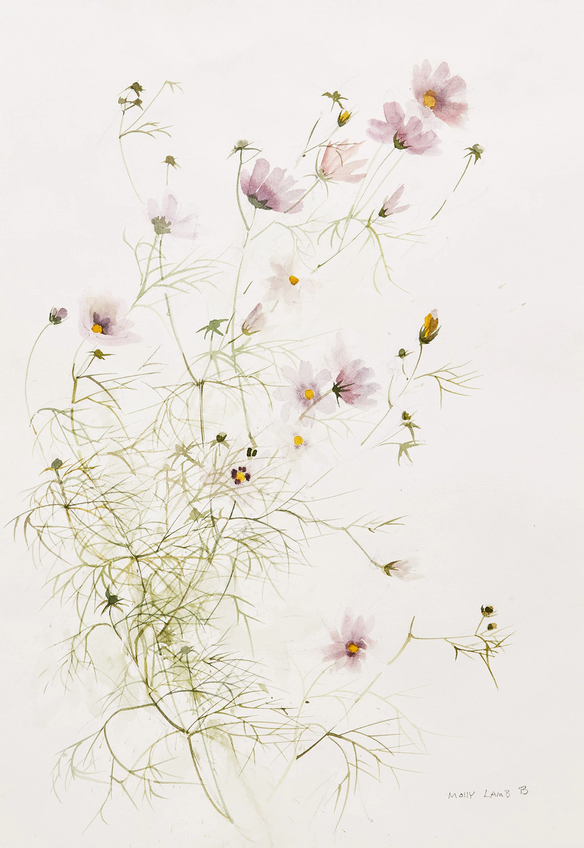 Molly Lamb Bobak, Cosmos, watercolour