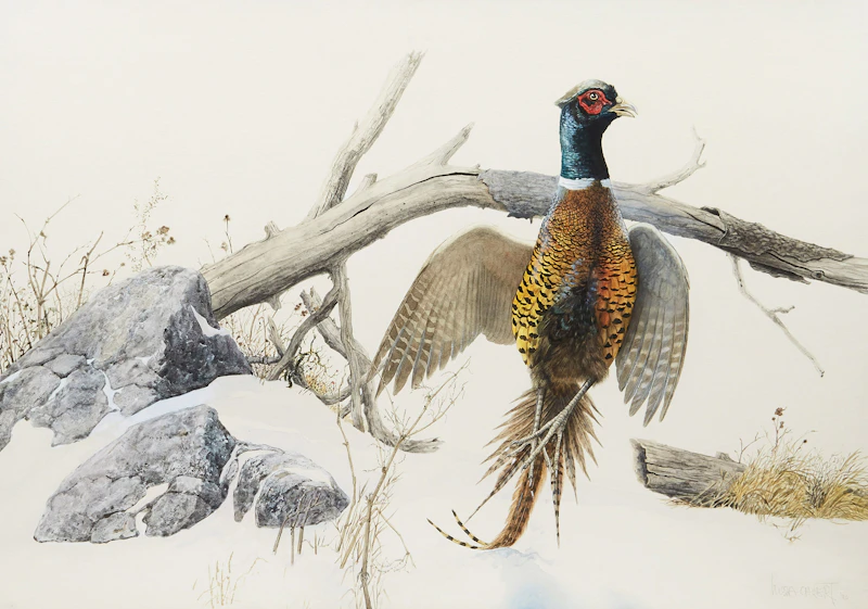 Lissa Calvert - Highest Result