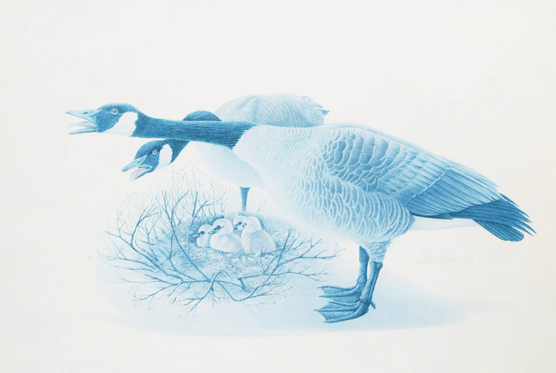 James Richard Lumbers, Geese, photolithograph