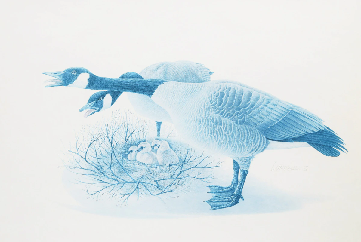 James Richard Lumbers, Geese, photolithograph