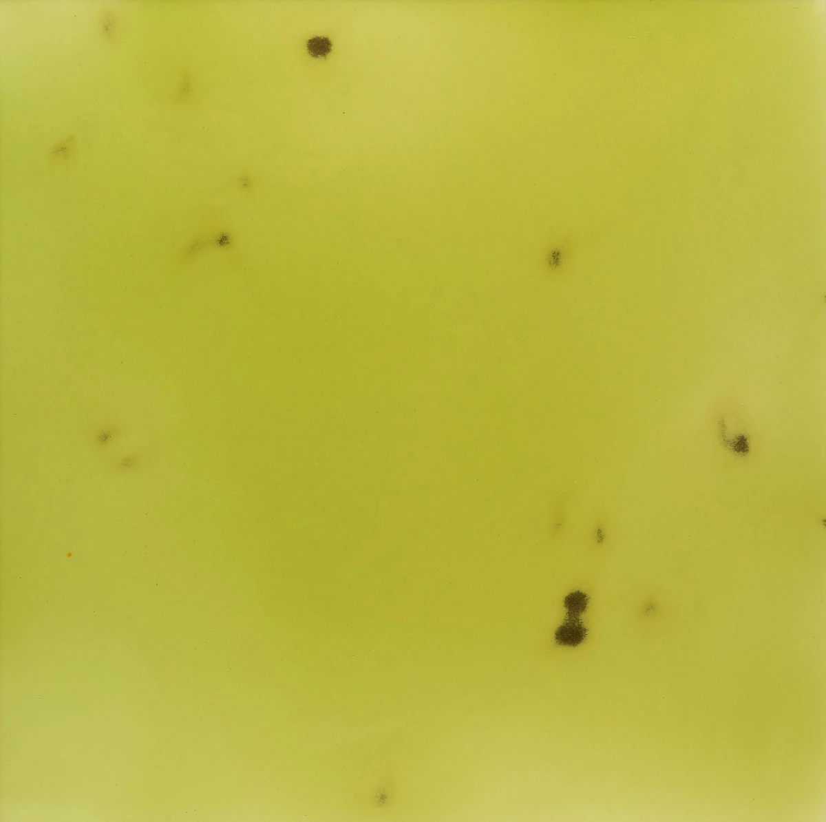 Shawn Westlaken, Chroma Culture (#9), epoxy on wood