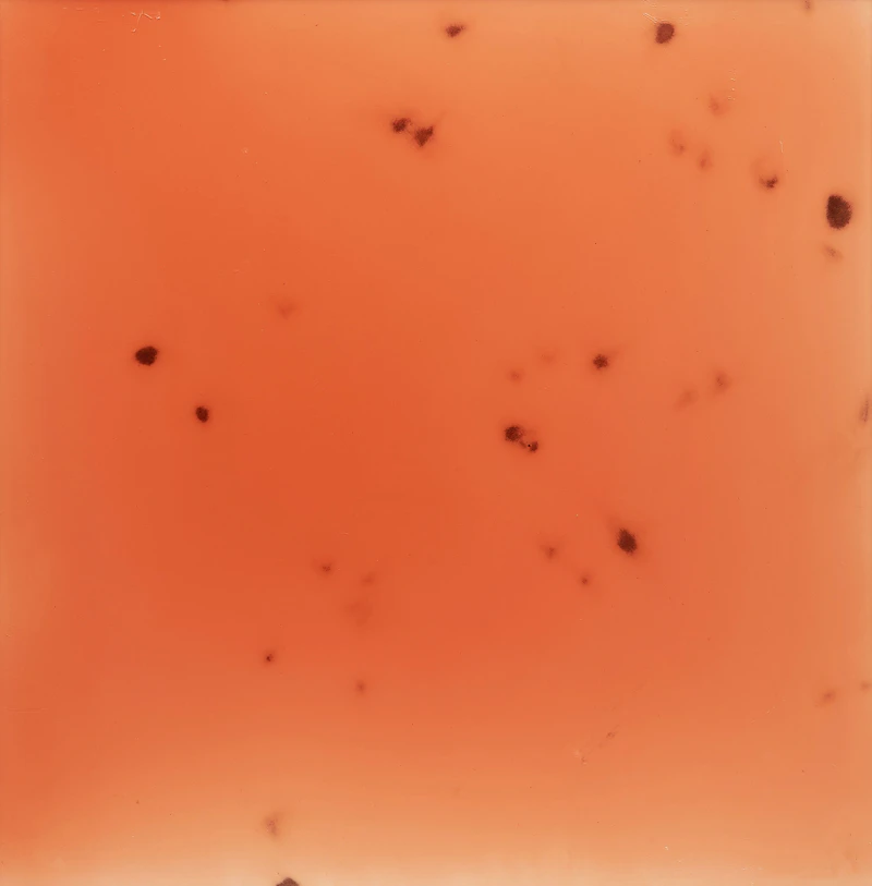 Shawn Westlaken, Chroma Culture (#4), epoxy on wood