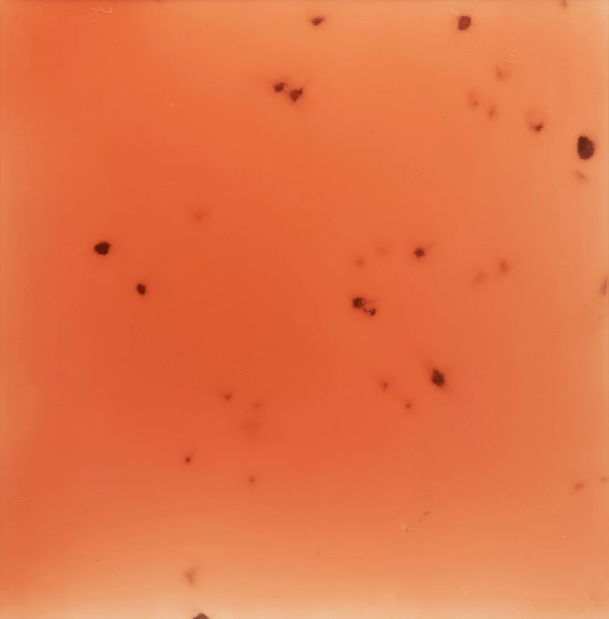 Shawn Westlaken, Chroma Culture (#4), epoxy on wood