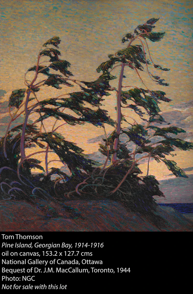 Tom Thomson, Evening, Pine Island, oil on panel, 1914 - view 5