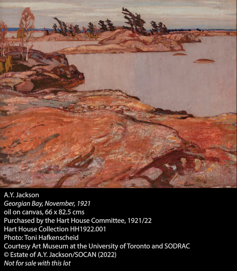 Alexander Young Jackson, Tadenac, November, oil on canvas, circa 1924 - view 6