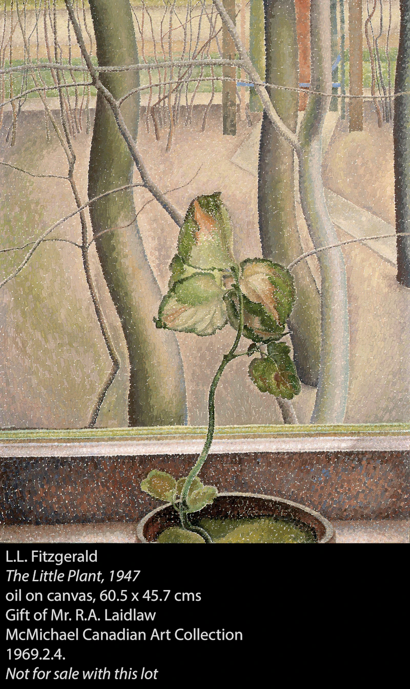 Lionel LeMoine FitzGerald, Still Life with Plant, oil on canvas mounted on board, 1948 - view 4