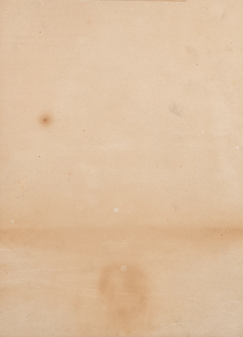 William Raphael, Two Indian Women (1873), oil on paper - view 3