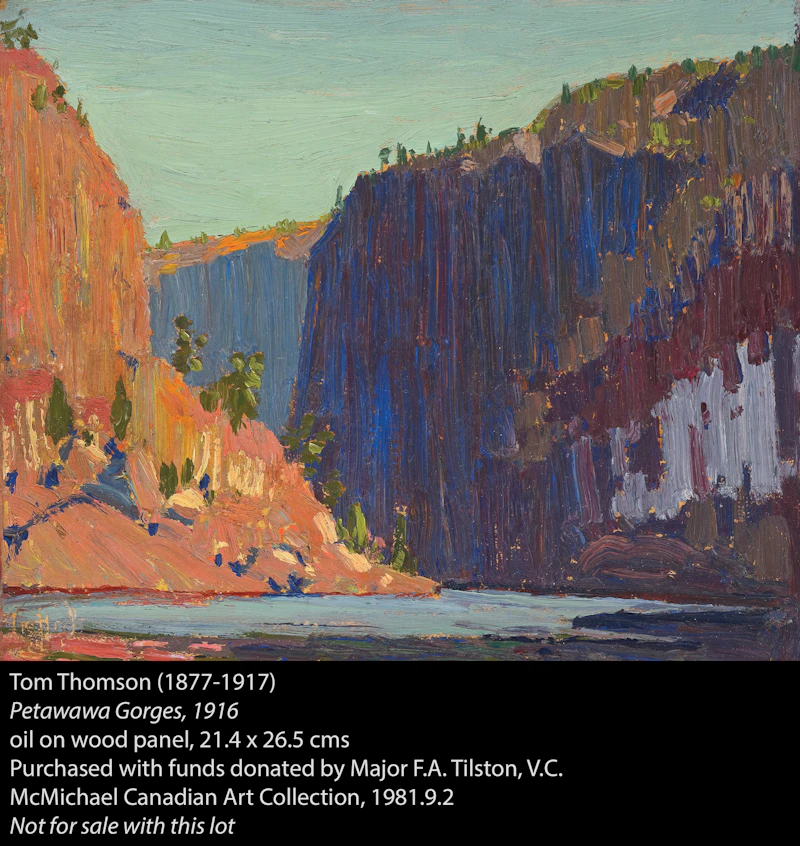 Tom Thomson, Petawawa Gorges, oil on panel, 1916 - view 5