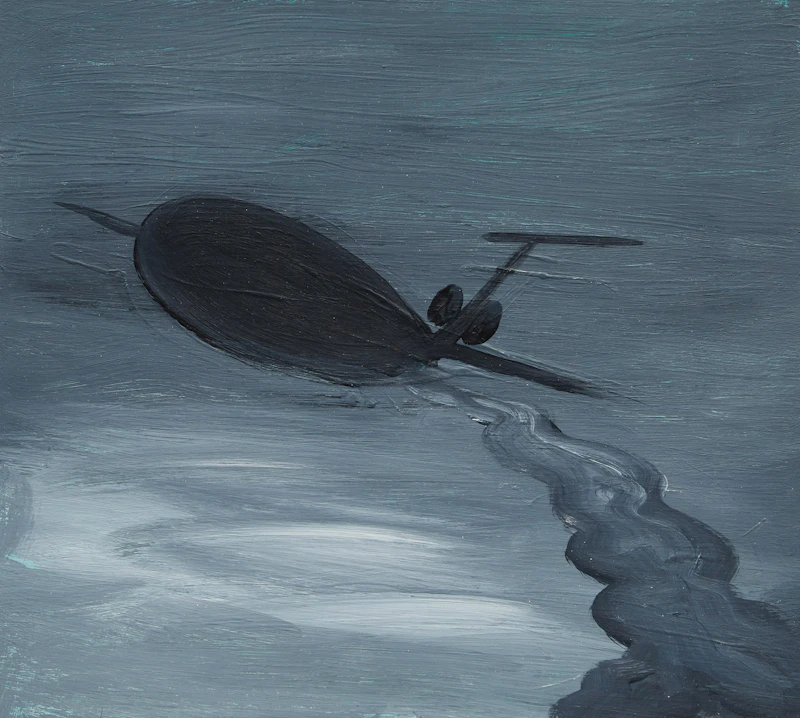 Airplane by Wanda Koop