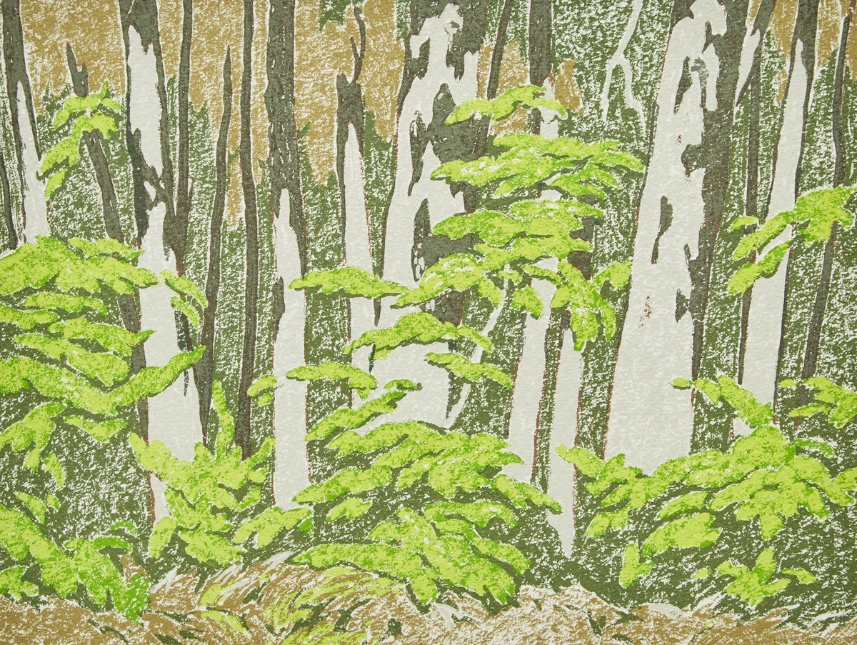 Alfred Joseph Casson, Forest Edge, colour etching