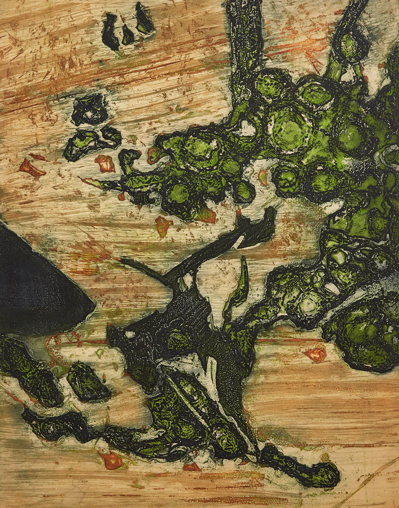 Lichen, Deer Island (Canadian Shield Series) by Edward John Bartram