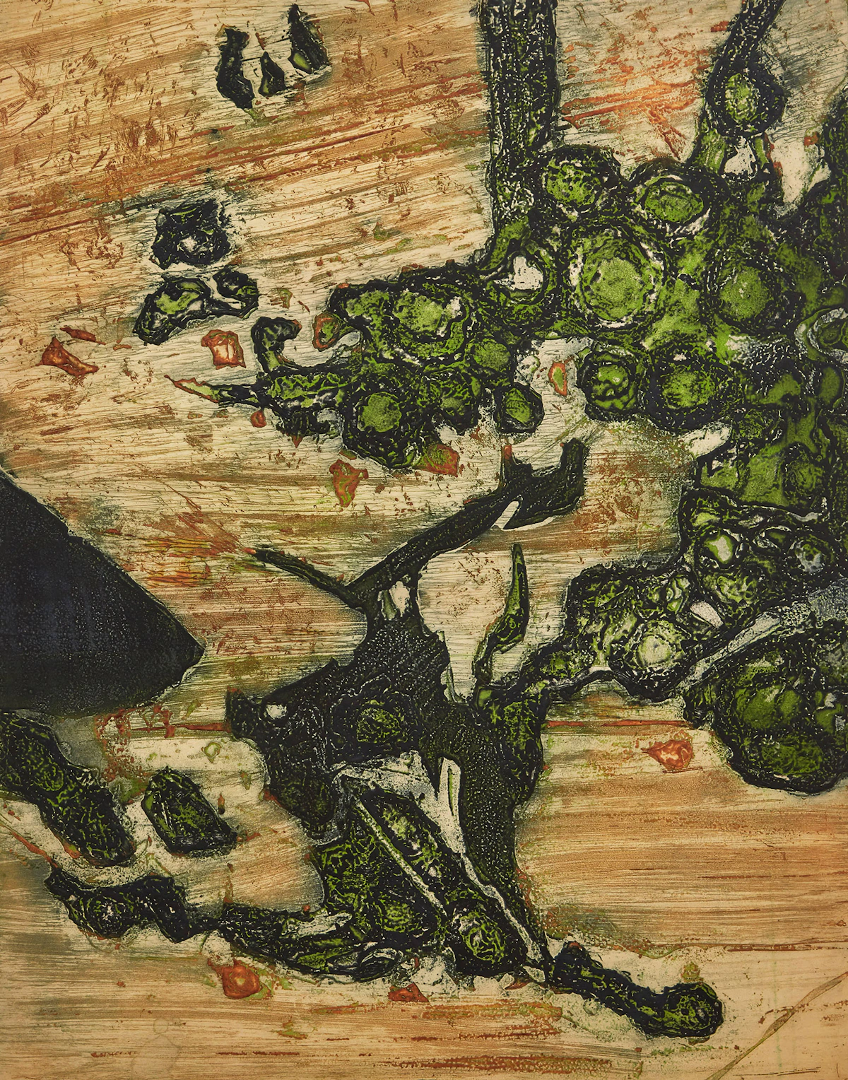 Edward John Bartram, Lichen, Deer Island (Canadian Shield Series), etching in colours