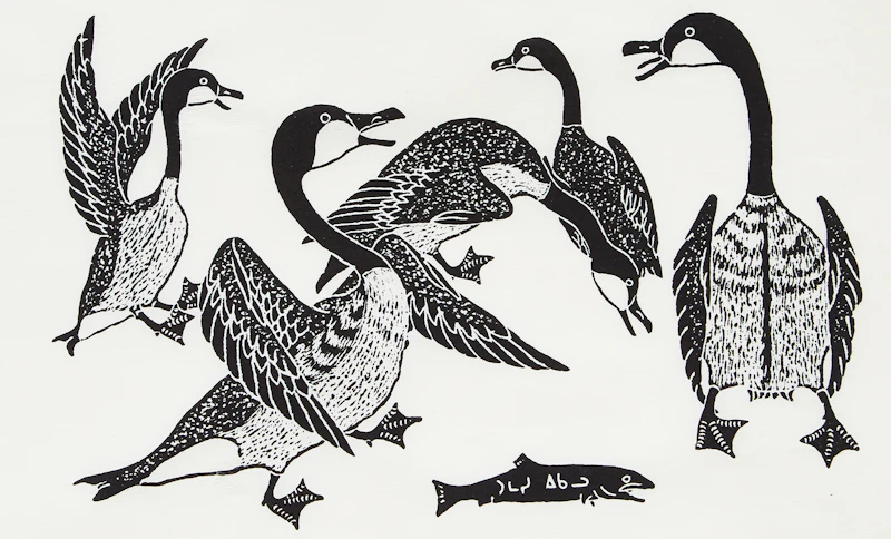Canada Goose by Thomassie Echalook