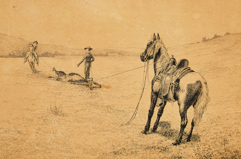 Education of the Broncos: No. 5, “Graduated” by John Innes