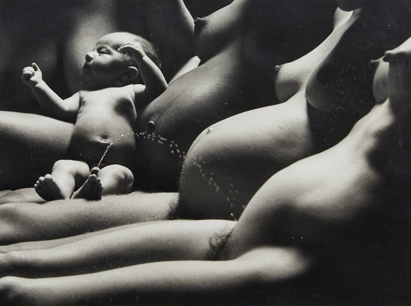 Pregnancies and Birth by Cylla Von Tiedemann