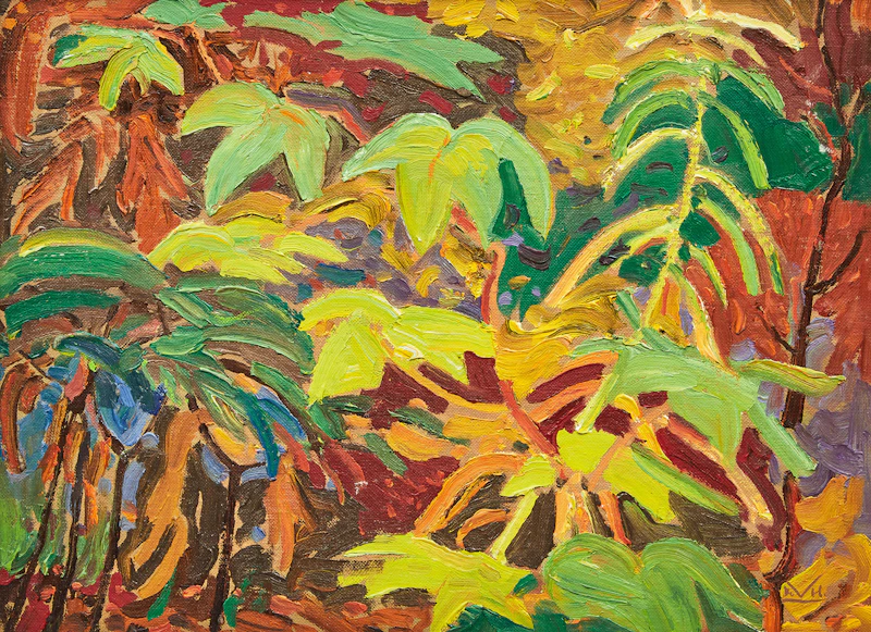 Striped Maple, Ontario  by Illingworth Holey Kerr
