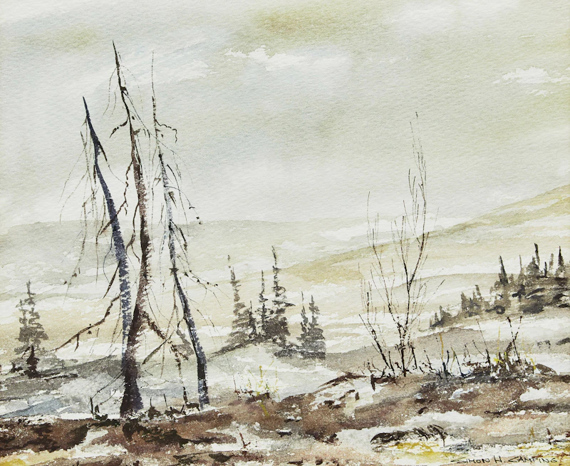 Untitled Landscape by Simon Camping