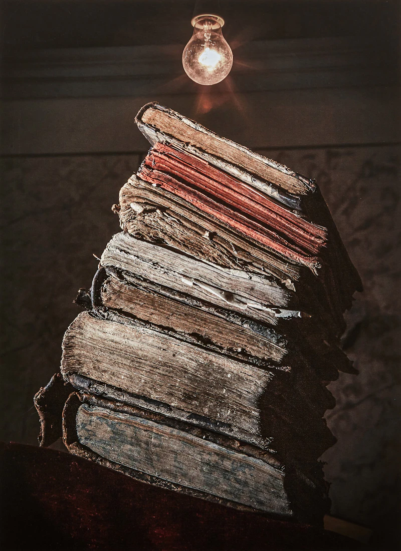 From the Last Folio Series by Yuri Dojc