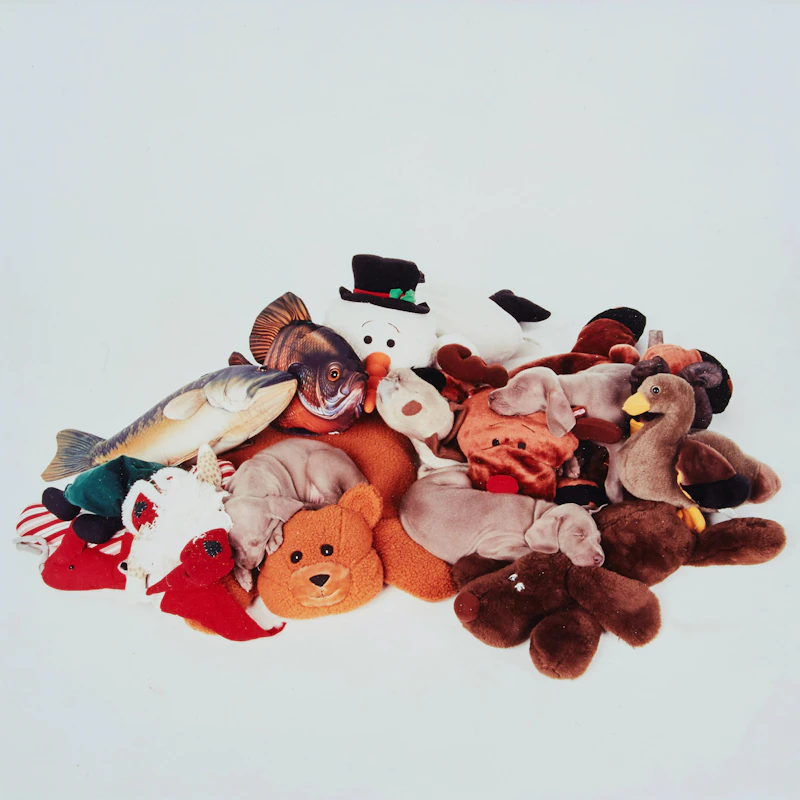 Winter Mix by William Wegman
