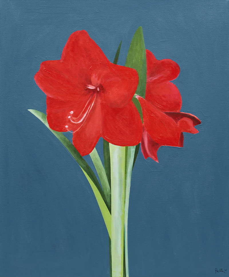 Red Amaryllises by Charles Pachter