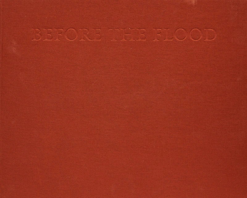 Before the Flood by Edward Burtynsky