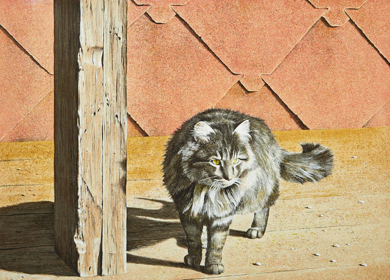Cat by Kenneth Danby
