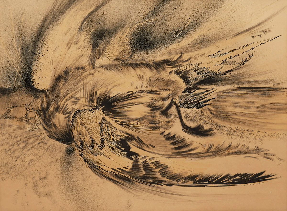 David Lloyd Blackwood, Dying Beach Object, brush and pen drawing, 1966
