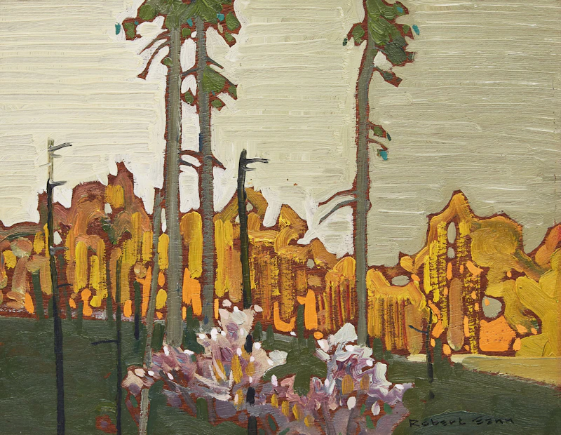 Morning Light by Robert Genn