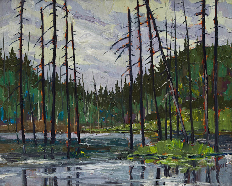 Swamp North of Hidden Valley, Muskoka; Fast Water - Oxtonge River by Lawrence Nickle