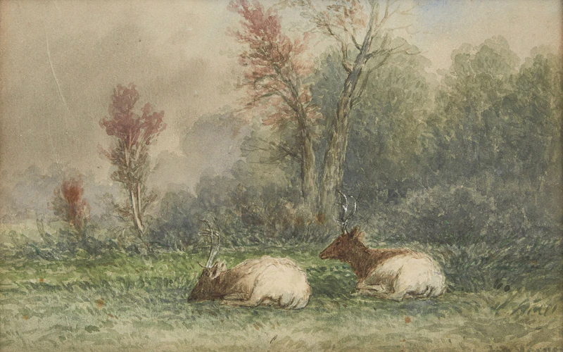 Two Wapiti by Frederick Arthur Verner