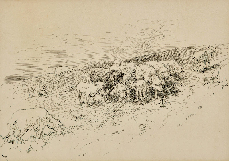 Frederick Simpson Coburn, Sheep Grazing, ink drawing
