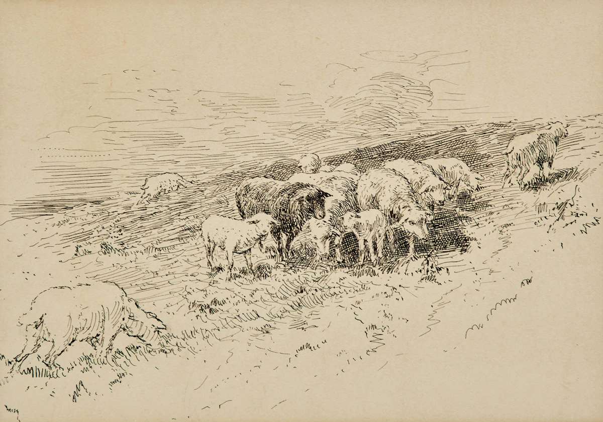 Frederick Simpson Coburn, Sheep Grazing, ink drawing