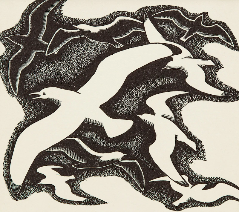 Gulls by Edwin Headley Holgate