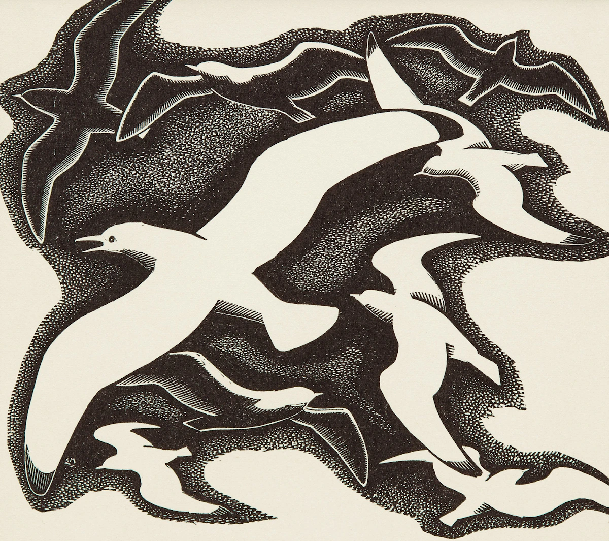 Edwin Headley Holgate, Gulls, print