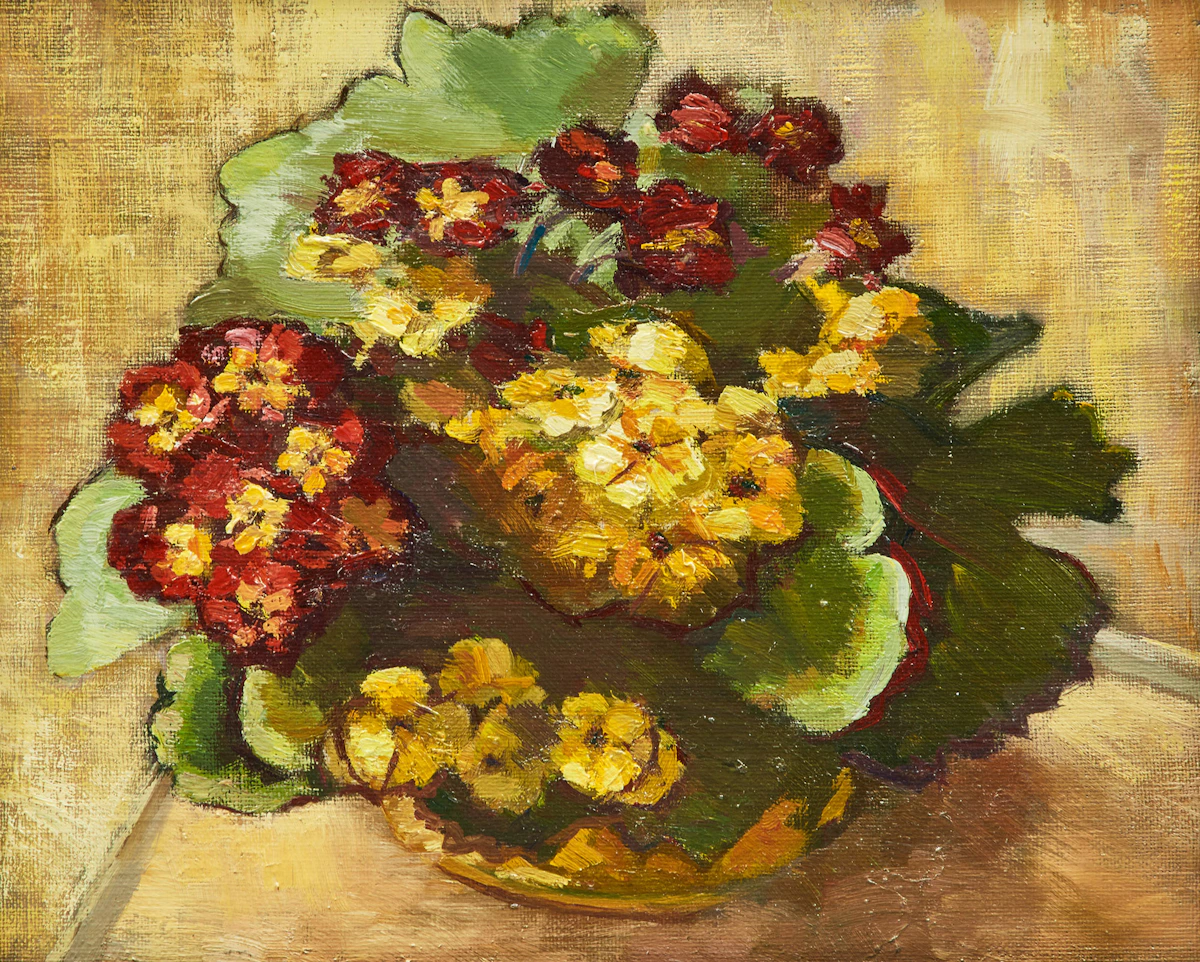 Aleen Elizabeth Aked, My Primulas, oil on canvas board