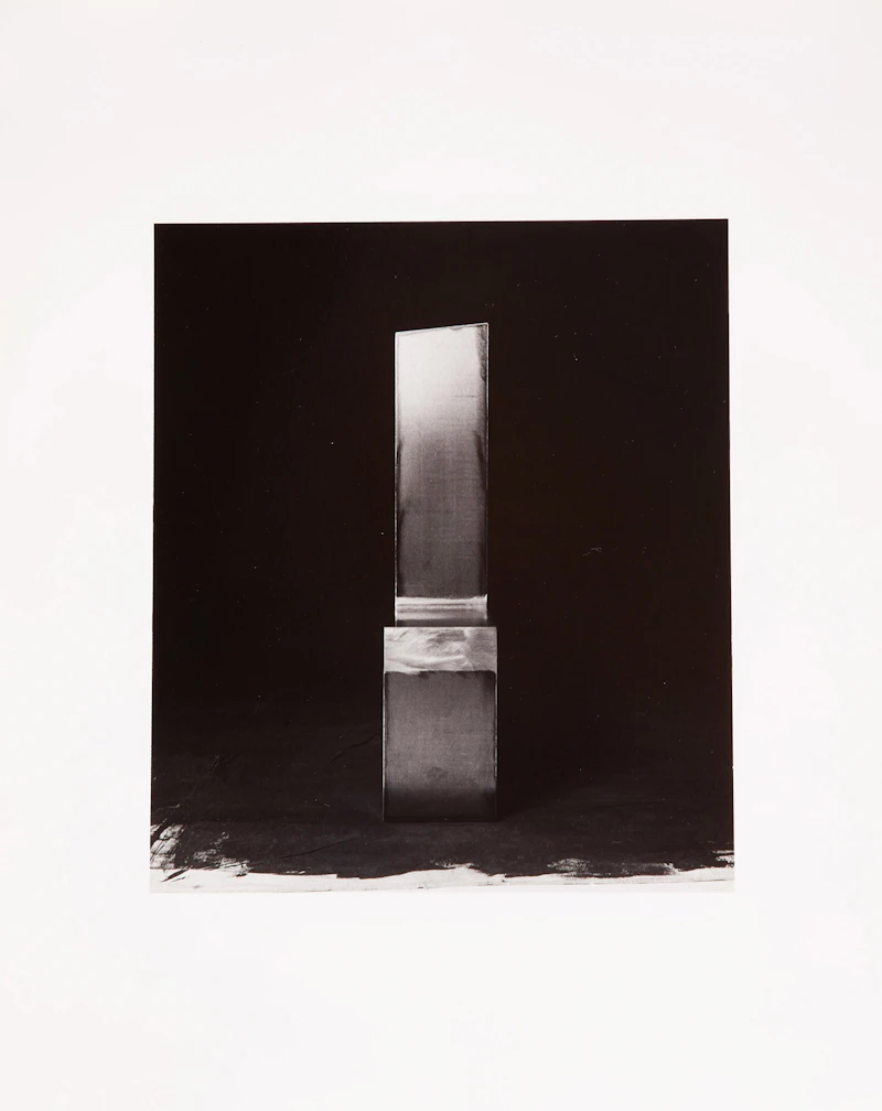 Marcus Leatherdale, Exotica, eleven gelatin silver prints, 1991 - view 5