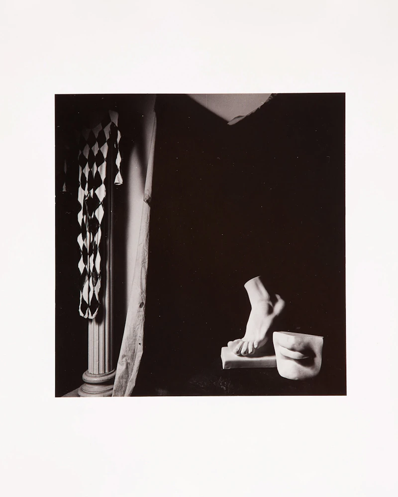 Marcus Leatherdale, Exotica, eleven gelatin silver prints, 1991 - view 9