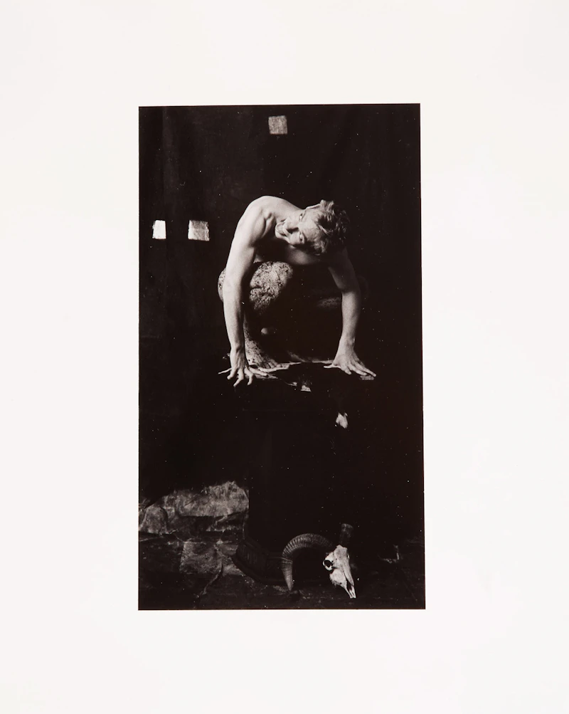 Marcus Leatherdale, Exotica, eleven gelatin silver prints, 1991 - view 15