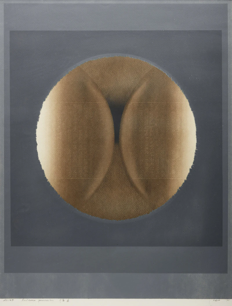 Hon Chi Fun, Lustrous Possession, colour silkscreen, 1975 - view 1