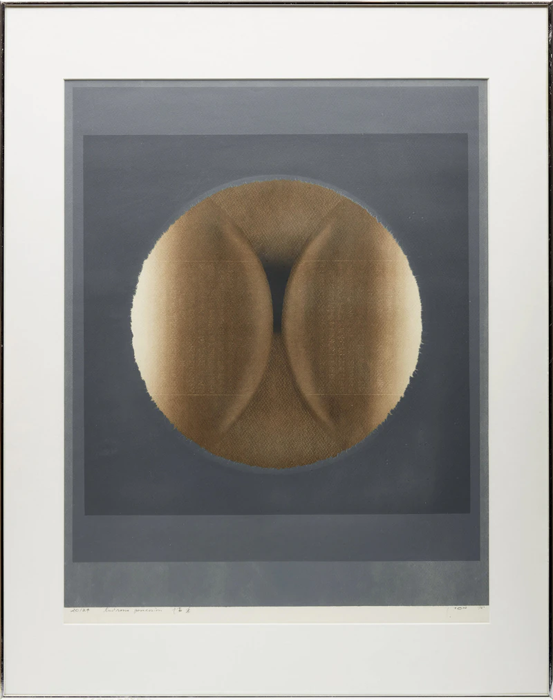 Hon Chi Fun, Lustrous Possession, colour silkscreen, 1975 - view 2
