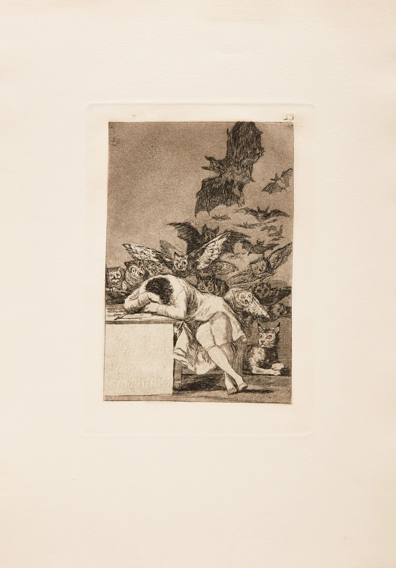 Francisco José de Goya y Lucientes, The Sleep of Reason Produces Monsters, etching - view 2