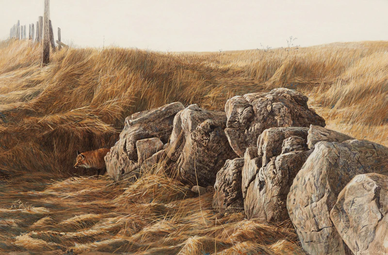 Fox and Stone Fence by Robert Bateman