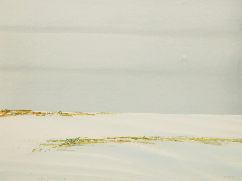 Early Prairie Winter by Takao Tanabe
